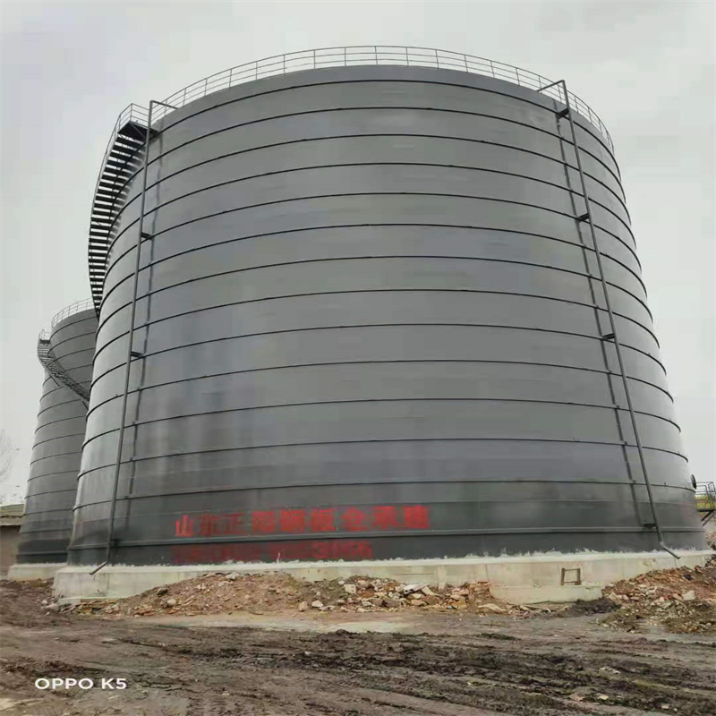 六弓乡3万吨大型钢板库