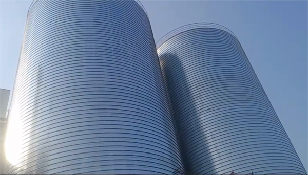 六弓乡2座混凝土高架卷板仓